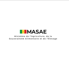 masae