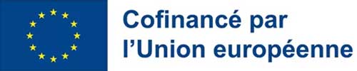 Logo FSE